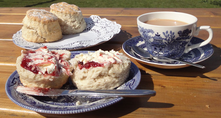 The best cream teas on the Isle of Wight